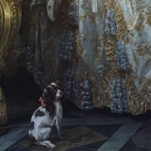 🖤Welcome! Please read!!🖤